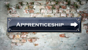 apprenticeships skills gap