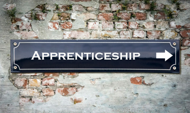 apprenticeships skills gap