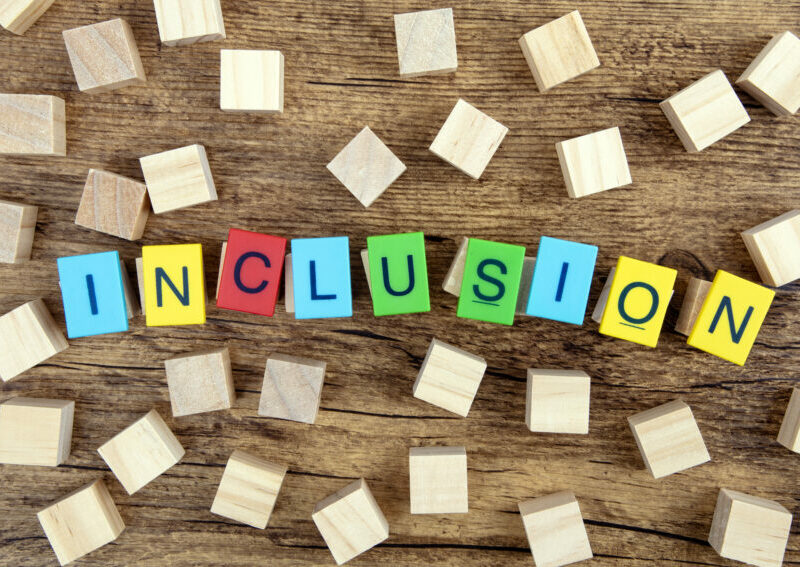 20 steps to inclusion